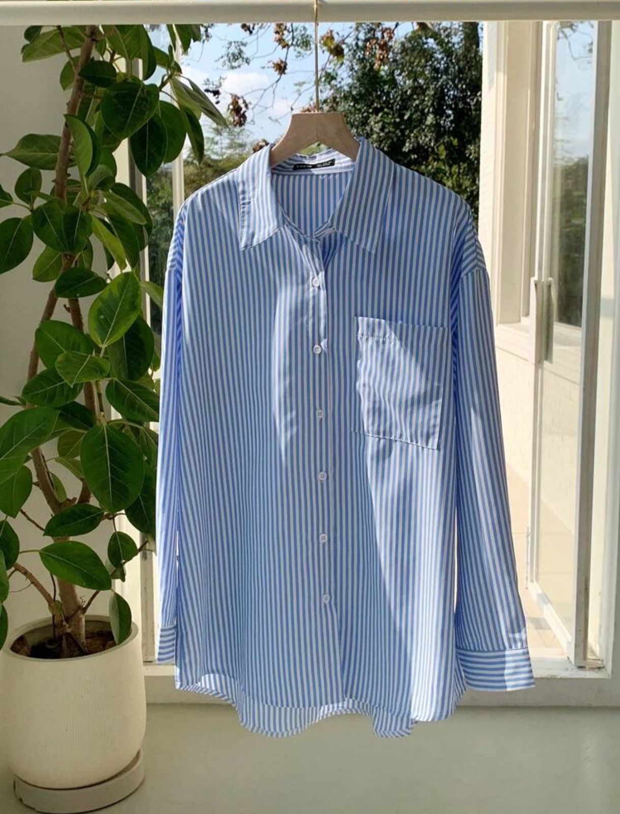 Button Down Shirt